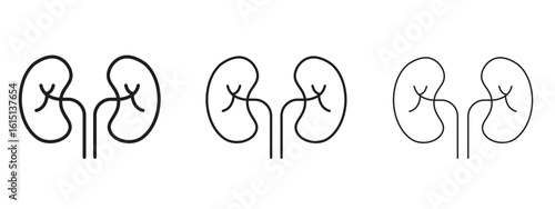 Kidney icon. Simple element illustration. Can be used for web and mobile.
