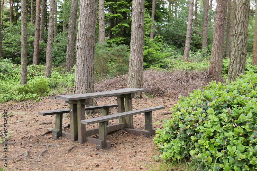A Traditional Wooden Picnic Table with Bench Seating. A Traditional Wooden Picnic Table with Bench Seating.