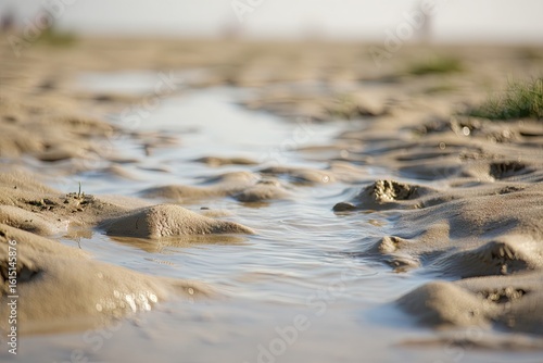 Shallow puddle on sandy beach path