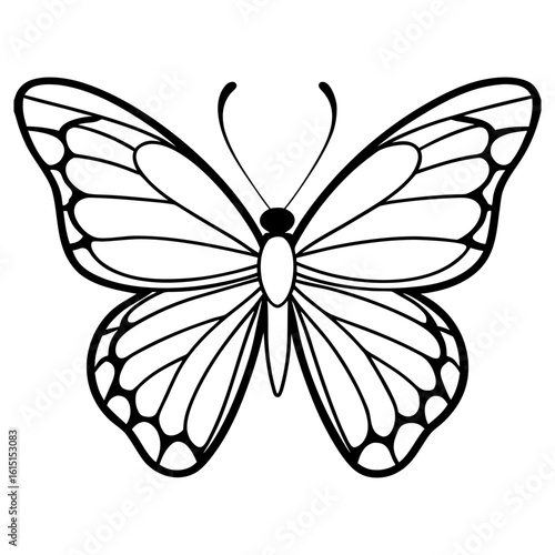 A black and white outline of a butterfly with detailed wings