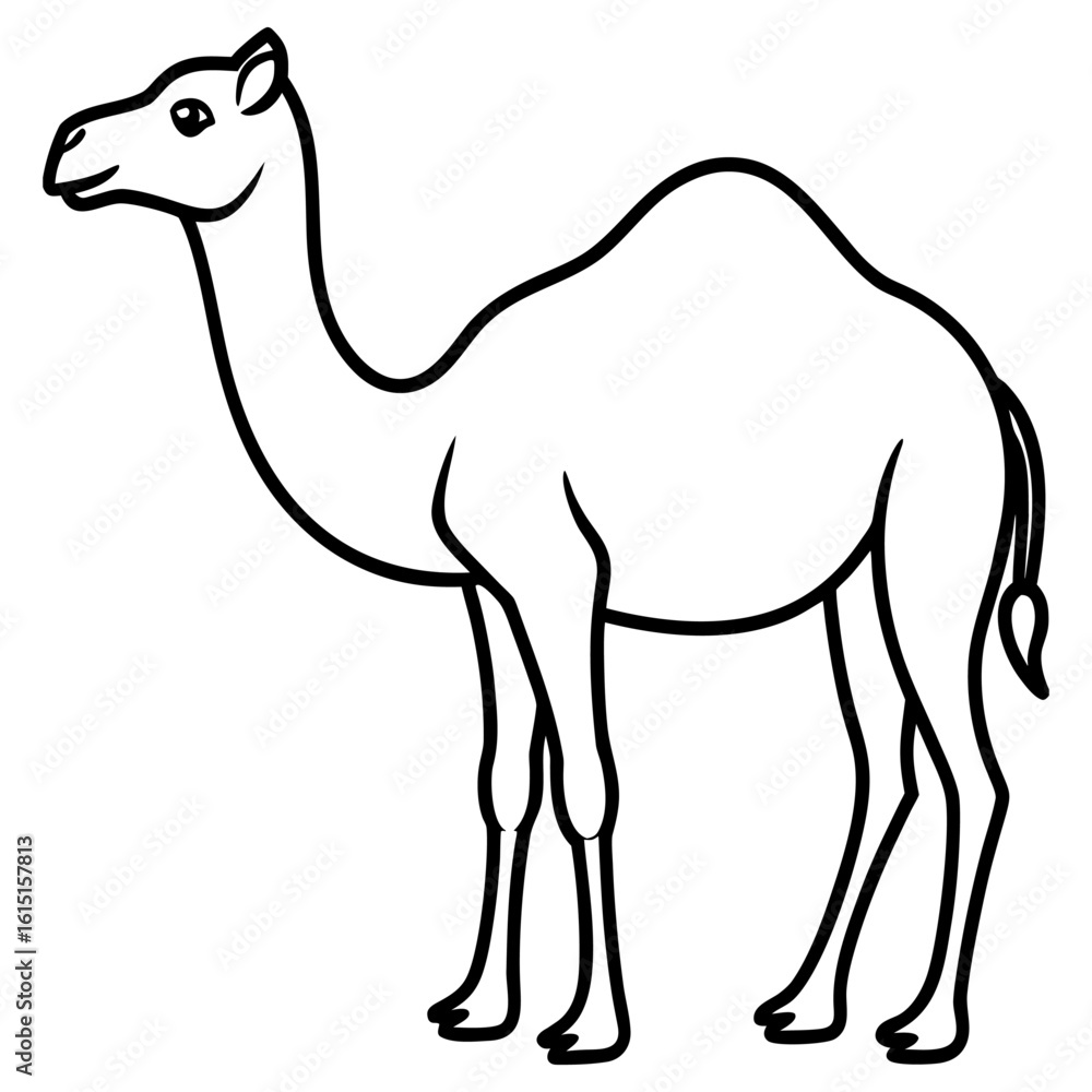 Fototapeta premium A simple outline drawing of a dromedary camel on a white background