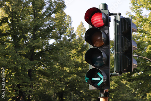 Traffic light with red light and green arrow for free right turn. Traffic light on a tree-lined avenue.