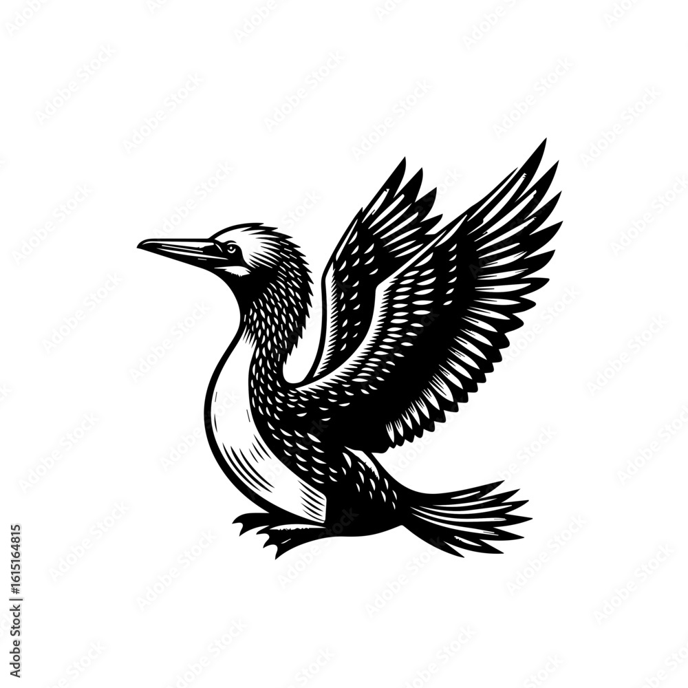 Fototapeta premium A bird with wings spread in flight