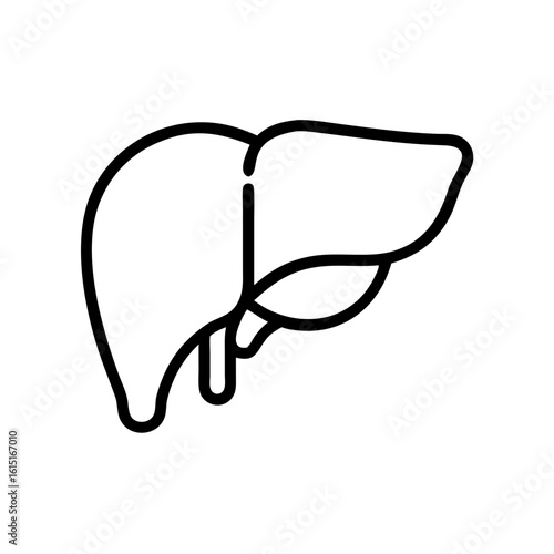 Simple outline of a human liver in black line art style  