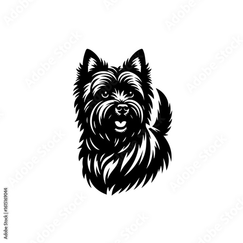 A fluffy terrier dog with a happy expression