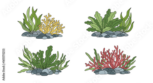 Decorative aquarium plants and aquatic flora for underwater landscapes and marine life habitats