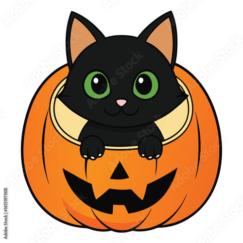 Cute Black Cat in a Large Carved Pumpkin Mouth