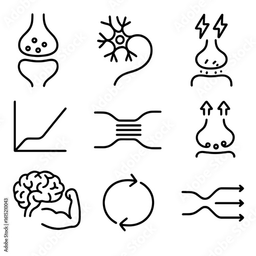 Synaptic Strengthening Icons. Outline style icons of Synaptic Strengthening: enlarged synapse icon, neuron with thick path,
