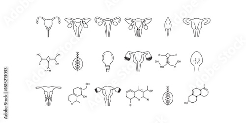 A collection of uterus diagrams and chemical structures in black outline on a white background