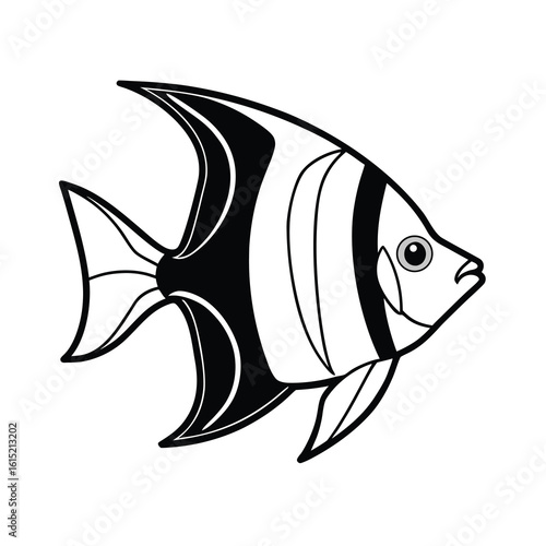 freshwater angelfish outline illustration