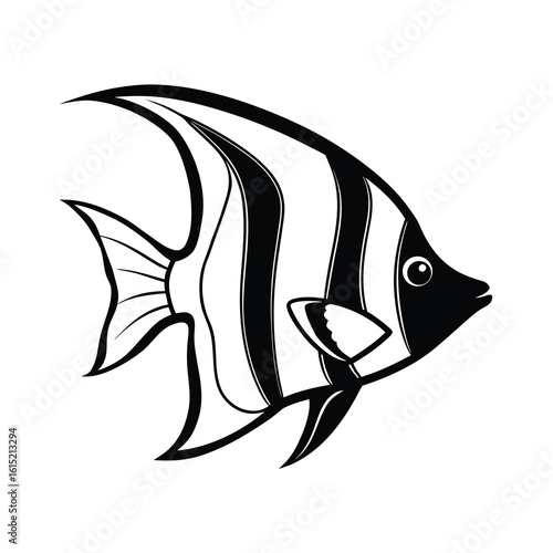 freshwater angelfish outline illustration