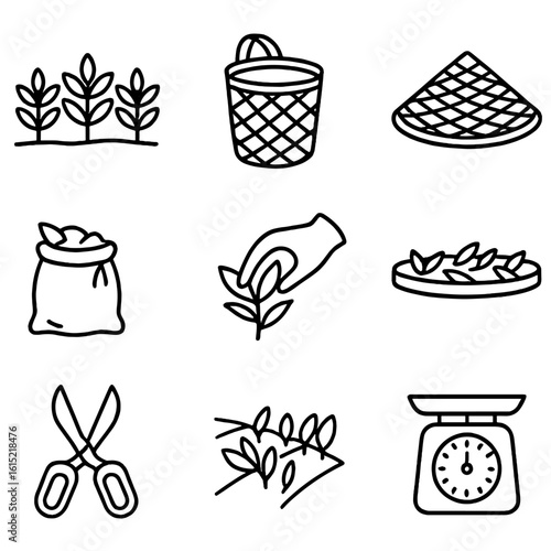 Tea Plantation Icons. Outline style icons of Tea Plantation Elements: tea-bush row, plucking basket, picker hand, woven hat,