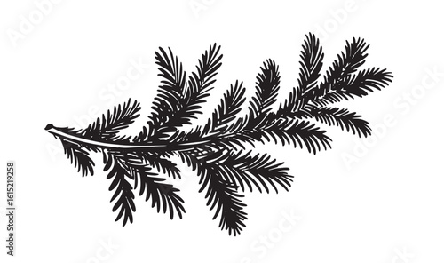 Christmas tree branch hand drawn	
