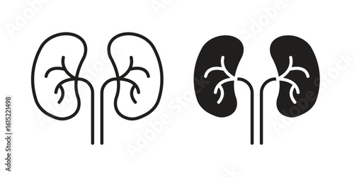 Kidneys icon vector in simple flat design, outline.