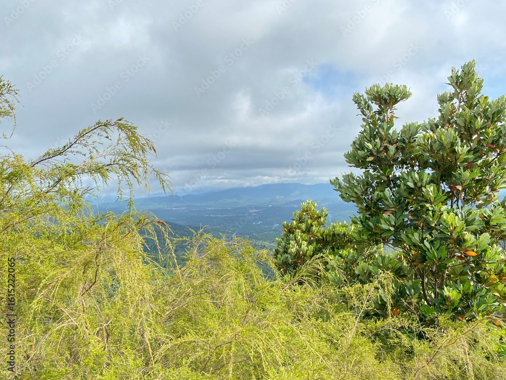 Obraz premium natural beauty hills and mountains. Bukit senarling Malaysia