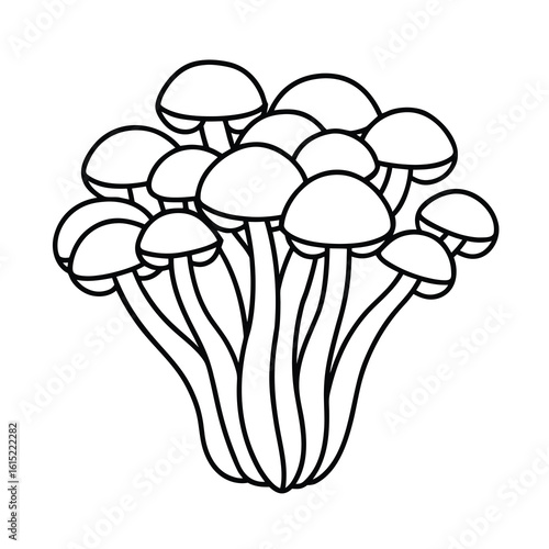 simple organic mushroom cluster drawing