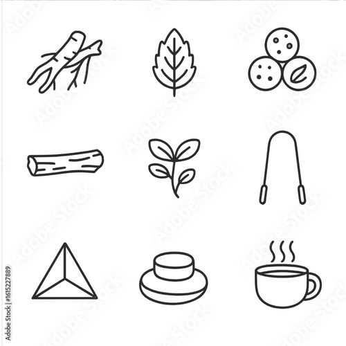 Ayurvedic Herb Icons. Line style icons of Ayurvedic Herb Set: ashwagandha root, tulsi leaf, triphala blend, neem bark, brahmi