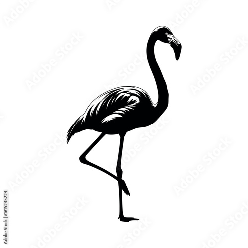 Elegant flamingo silhouette in profile isolated on white background
