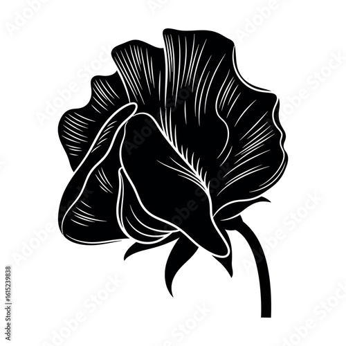 Elegant pea flower silhouette isolated on white background