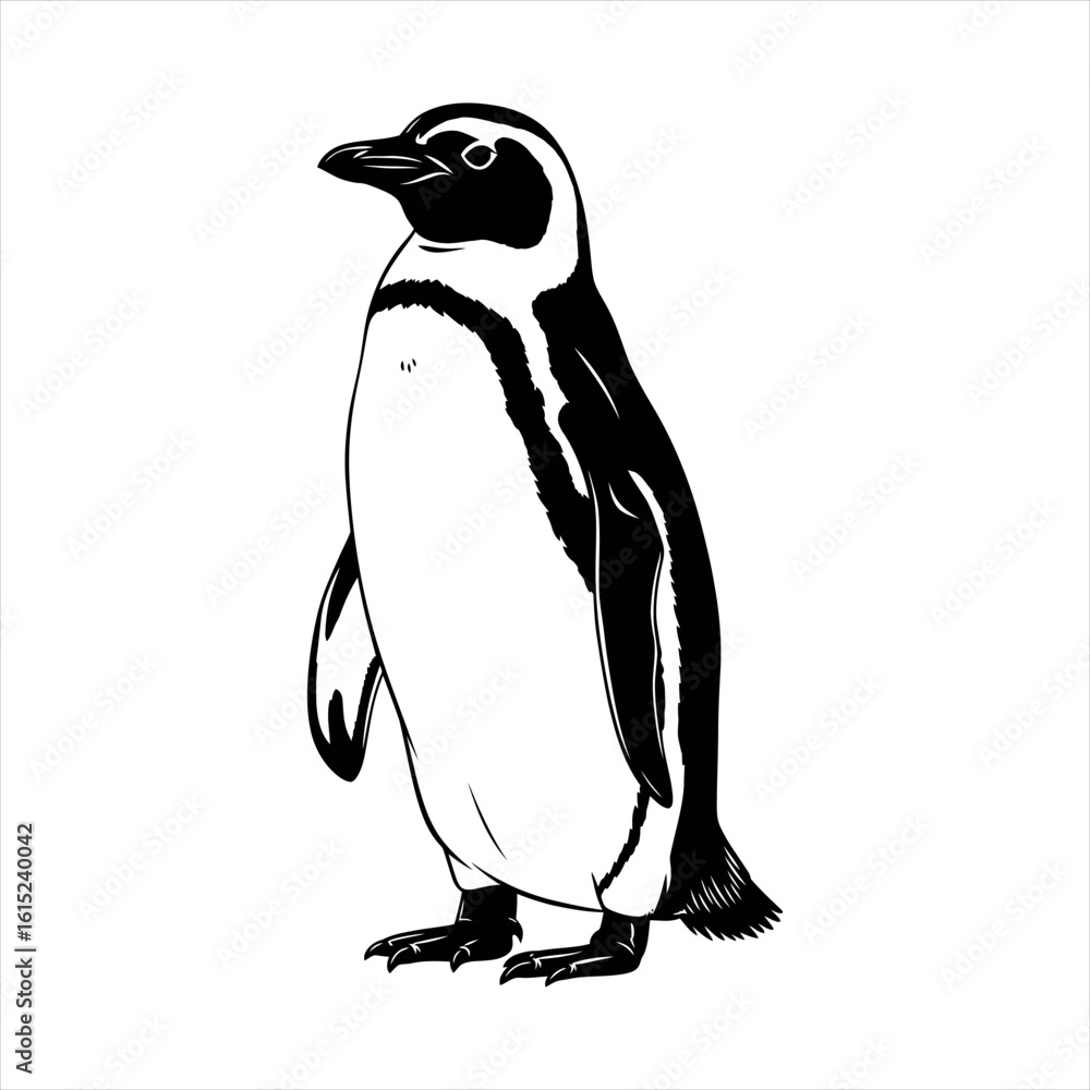 Obraz premium Charming penguin silhouette in black and white isolated on a clean white background isolated on white background