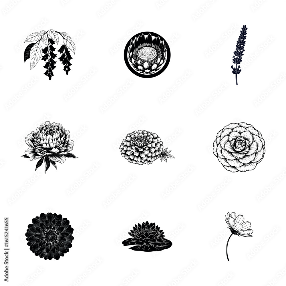 Fototapeta premium Collection of delicate floral silhouettes isolated on white background