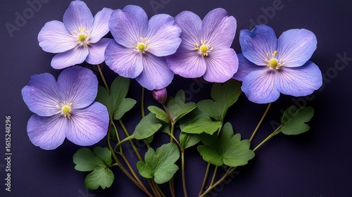 Delicate, pastel-colored flowers arranged
