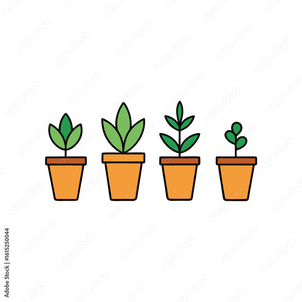 Obraz premium green plant in a pot