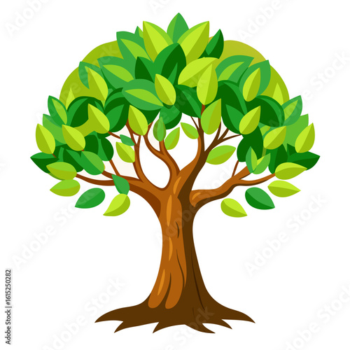 olive tree vector illustration