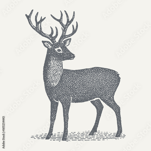 A detailed vintage illustration of a deer with impressive antlers in a black and white style.