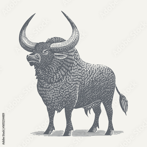 A detailed illustration of a strong bull with impressive horns, rendered in black and white.