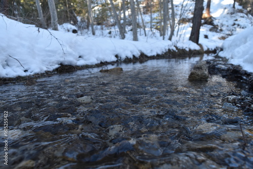 Eau claire qui ruisselle dans une forêt enneigée en montagne.