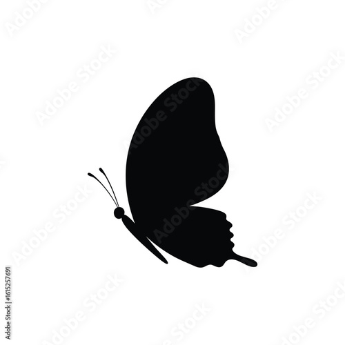Photos butterflies Flying silhouette black set, Flaying butterflies vector collection isolated on white background