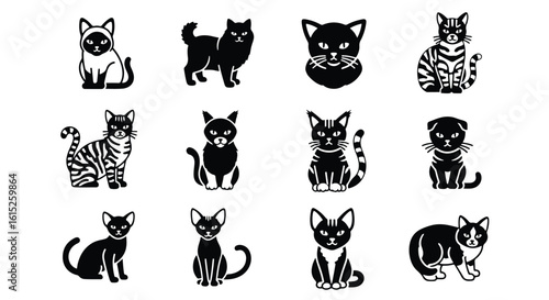 Vector silhouette illustration a variety of cat illustrations, showcasing different breeds and poses