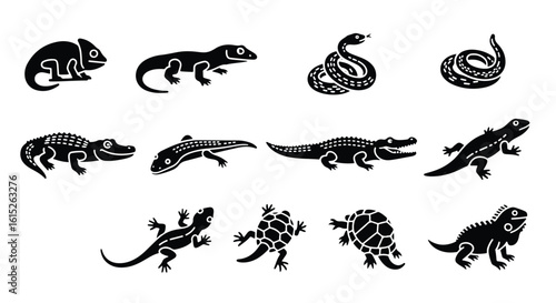 Vector silhouette illustration a collection of black crocodile and alligator silhouettes on a white background