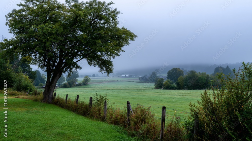Obraz premium Misty morning countryside landscape with lush green fields and trees