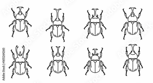 Eight beetle illustrations in a grid, showcasing different horn shapes and body structures in a line art style.