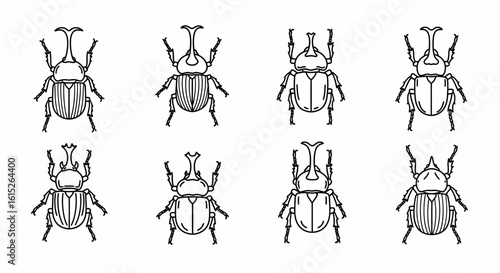 Eight line drawings of rhinoceros beetles, showcasing variations in body markings.