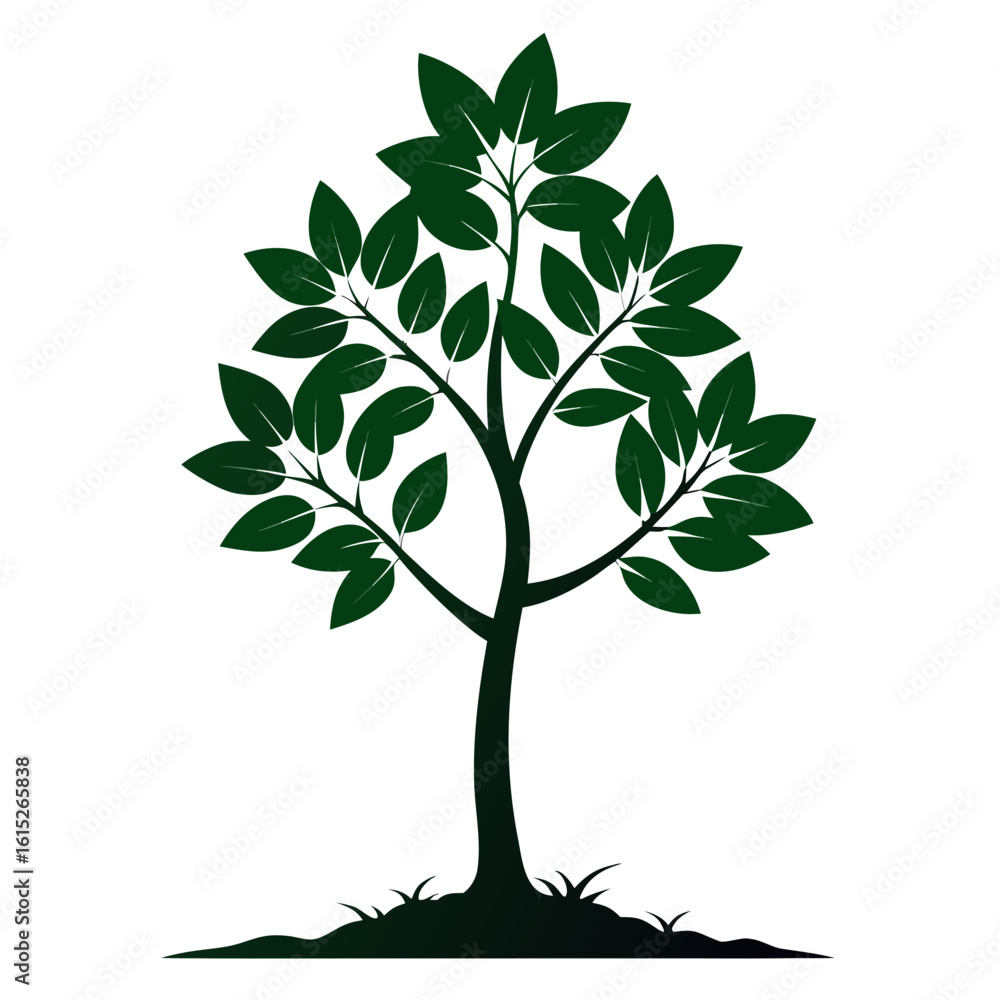 Obraz premium tree with roots