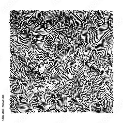 Abstract black and white topographic map style illustration with flowing organic lines and shapes design
