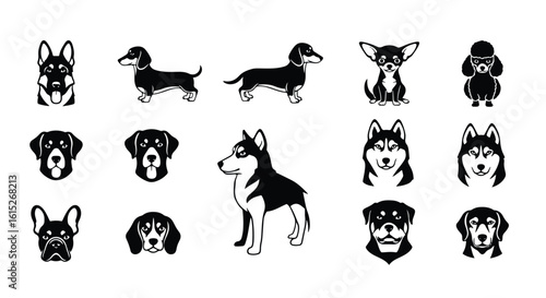 Vector silhouette illustration a black and white illustration featuring a dachshund and a husky dog