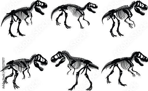 Collection of tyrannosaurus rex dinosaur skeletons in various poses