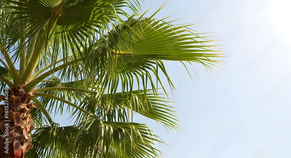 Obraz premium Palm Tree Under Blue Sky