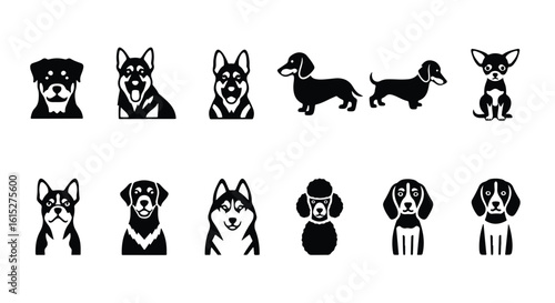 Vector silhouette illustration closeup portraits of various dog breeds, featuring a husky and a poodle, highlighting their unique facial features