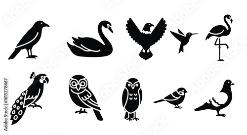 Vector silhouette illustration a collection of black bird silhouettes including a swan and an owl on a white background