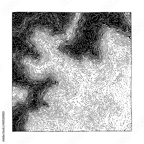 Abstract topographic map illustration with contour lines in black and white showing elevation changes
