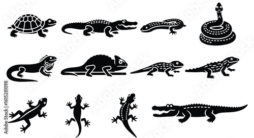 Vector silhouette illustration a black chameleon silhouette with a textured body on a white background