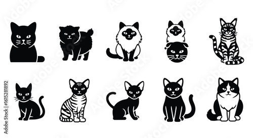 Vector silhouette illustration a variety of black and white illustrations depict different breeds of cats
