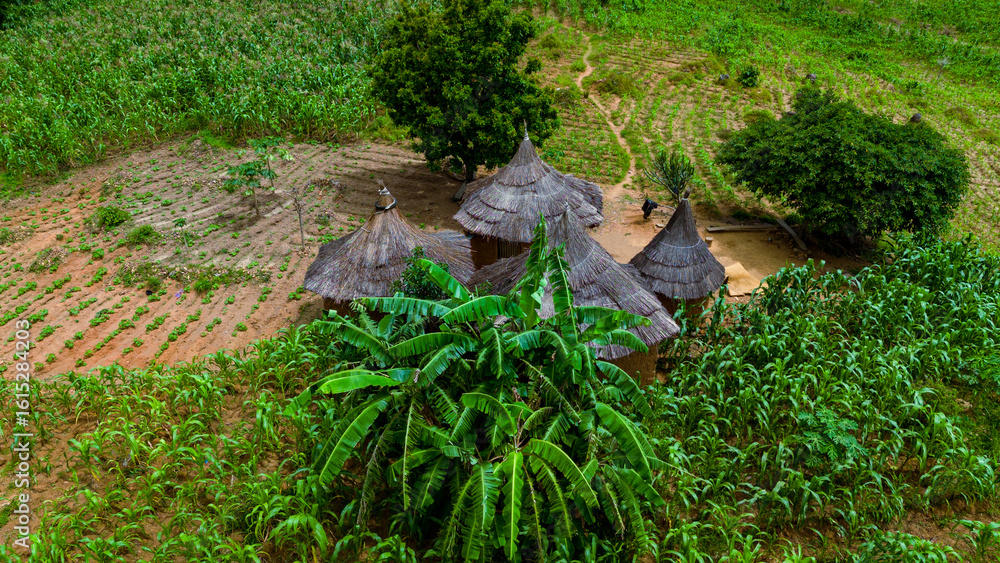 Aerial view of traditional thatched-roofed houses nestled amidst vibrant green foliage and cultivated fields, a tapestry of rural life unfolds, Jos, Plateau, Nigeria. Aerial view of traditional thatched-roofed houses nestled amidst vibrant green foliage and cultivated fields, a tapestry of rural life unfolds, Jos, Plateau, Nigeria.