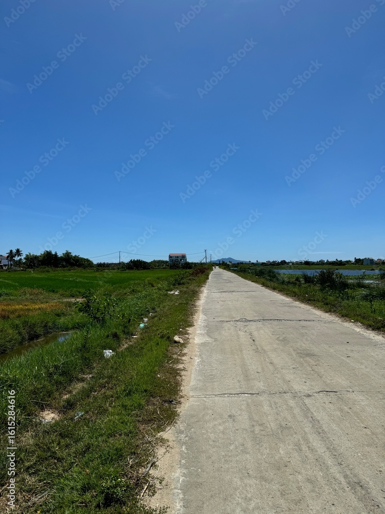 Obraz premium Trip to Vietnam part 2. Photos from Ho Chi Mihn to Mekong to Hoi An.