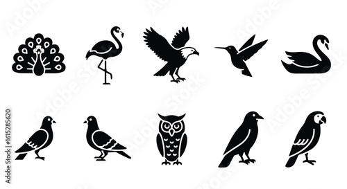 Vector silhouette illustration silhouettes of an eagle in flight and an owl, representing birds of prey